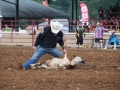 CCF2016_5_482