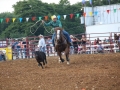 CCF2016_5_494