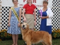 Cecil County Fair 2014 Day 9 025.JPG