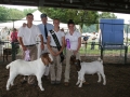 CecilCoFair2013Day5018.JPG