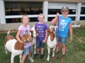 CecilCoFair2013Daynight3308.JPG
