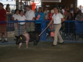 CecilCoFair2013Night4043.JPG